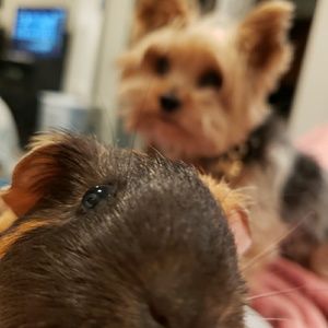 Meet your Posher, Ashlee